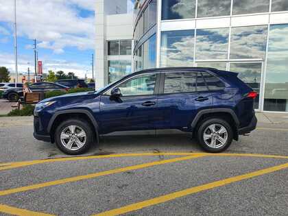 used 2022 Toyota RAV4 car, priced at $36,995