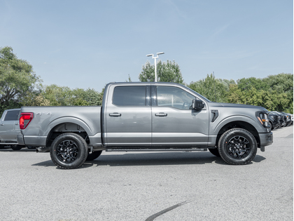 used 2024 Ford F-150 car