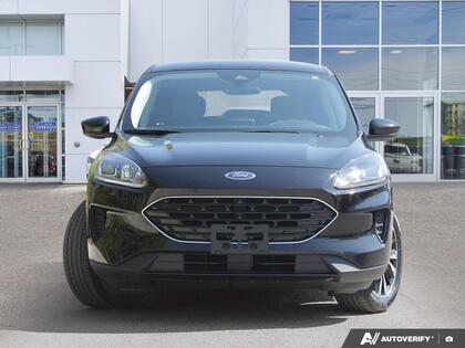 used 2022 Ford Escape car, priced at $24,900
