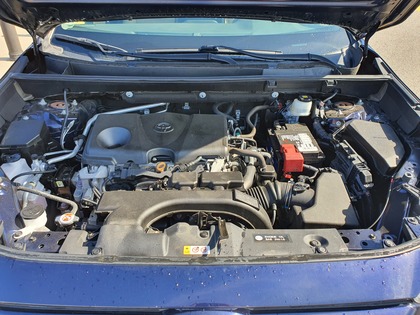 used 2019 Toyota RAV4 car
