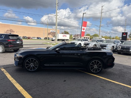 used 2022 Ford Mustang car, priced at $35,950