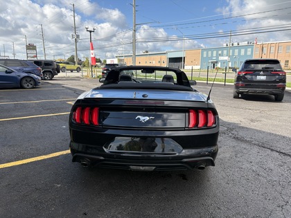 used 2022 Ford Mustang car, priced at $35,950