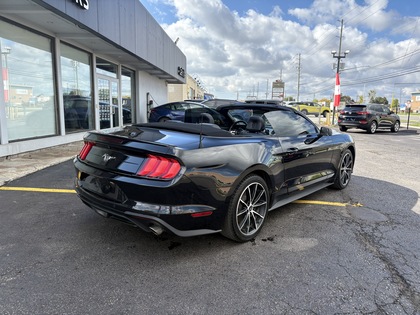 used 2022 Ford Mustang car, priced at $35,950