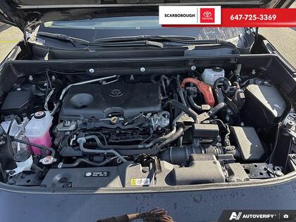 used 2023 Toyota RAV4 car, priced at $42,495