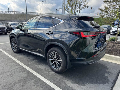 used 2023 Lexus NX car, priced at $58,484