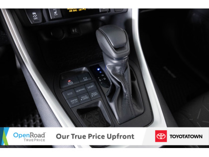 used 2019 Toyota RAV4 car, priced at $30,998