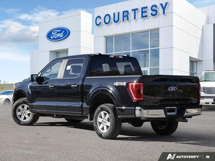 used 2023 Ford F-150 car, priced at $44,500