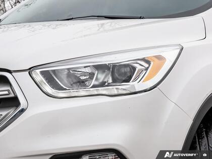 used 2019 Ford Escape car, priced at $18,500