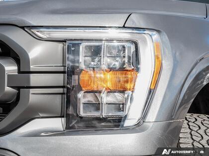 used 2023 Ford F-150 car, priced at $51,500