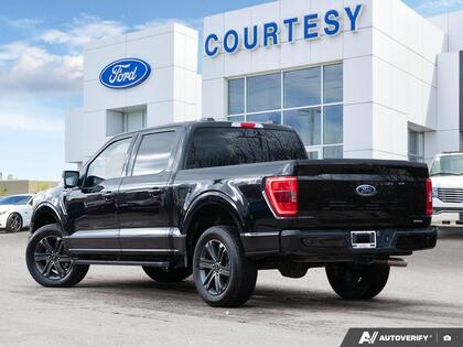 used 2023 Ford F-150 car, priced at $45,500