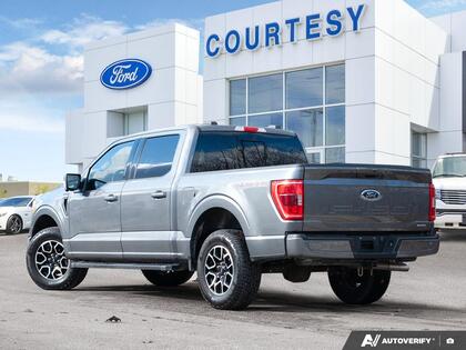 used 2023 Ford F-150 car, priced at $51,500