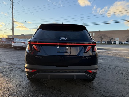 used 2024 Hyundai Tucson Hybrid car, priced at $31,950