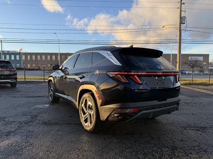 used 2024 Hyundai Tucson Hybrid car, priced at $31,950